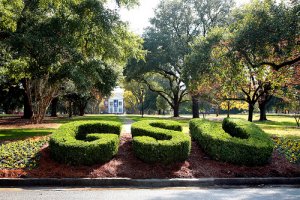 georgia-southern-university-online-masters-in-computer-science-degrees-2017