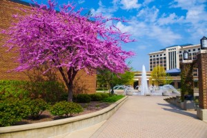 Indiana State University Best Affordable History Master's Degrees