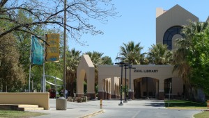 New Mexico State University - Online MPH