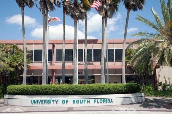 University of South Florida - Online MBA Entrepreneurship