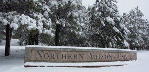 20 Northern Arizona Online Educational Psychology