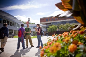 St. Cloud State University - 30 Online Master's English