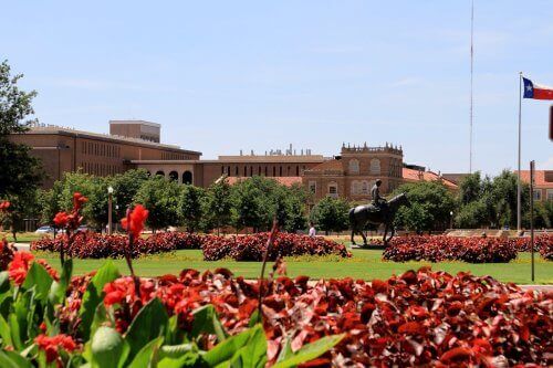 Texas Tech University - 30 Online Master's English