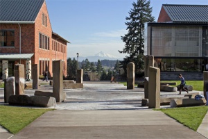 Washington State University - Top Affordable Online Master's Engineering