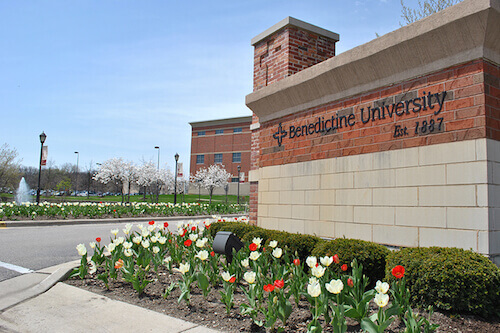 Benedictine University - Online MSN Nurse Leadership