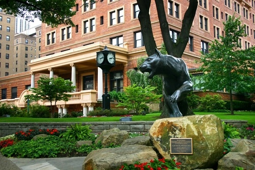University of Pittsburgh - Online MSN Nurse Leadership