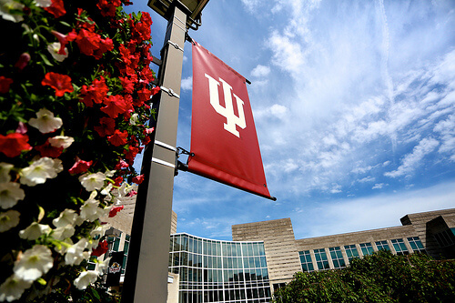 Indiana University - online MPA