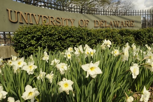 University of Delaware - online MPA