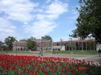 University of Memphis – The Best Master's Degrees