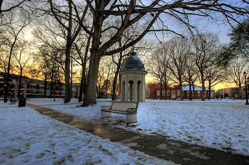east-carolina-university-online-masters-in-elementary-education